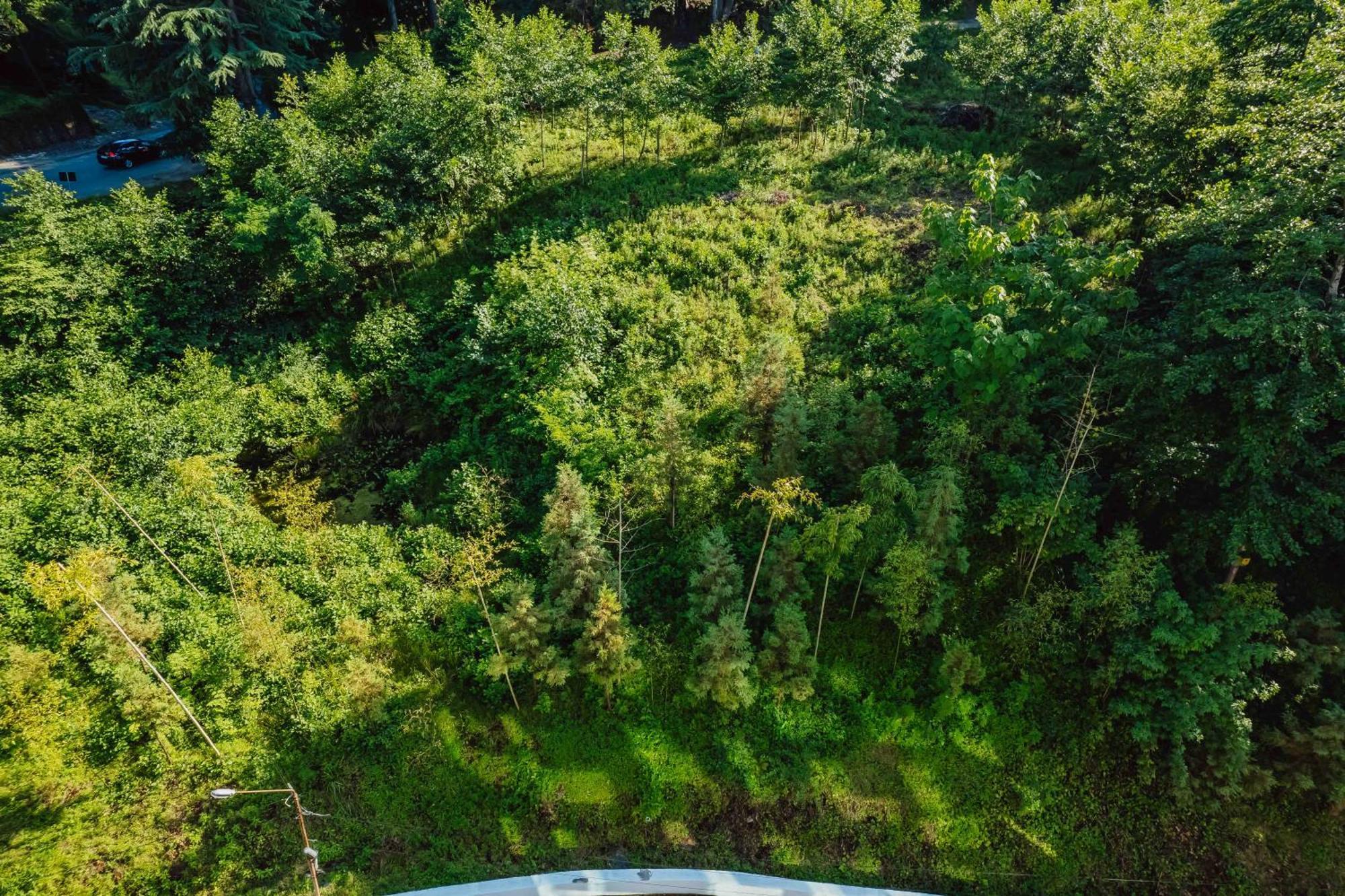 Capo Verde Hotel Batumi Eksteriør bilde